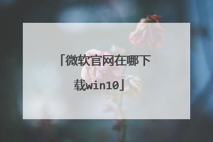 ΢��������������win10