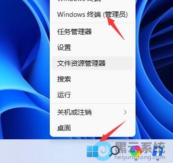 ѡ���windows�ն�