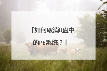 ���ȡ��U���е�PEϵͳ��