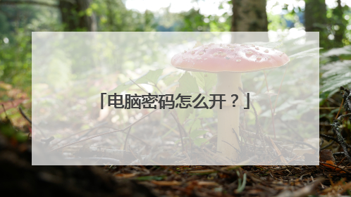 ����������ô����