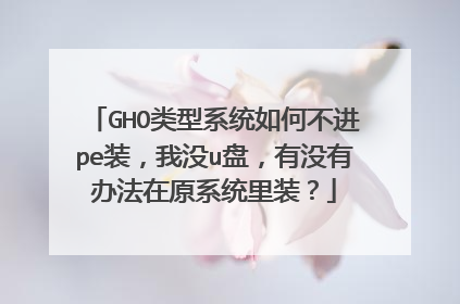 GHO����ϵͳ��β���peװ����ûu�̣���û�а취��ԭϵͳ��װ��