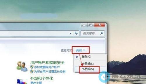 ����Сͼ��鿴��ʽ