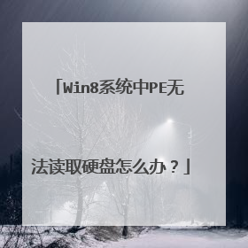 Win8ϵͳ��PE�޷���ȡӲ����ô�죿