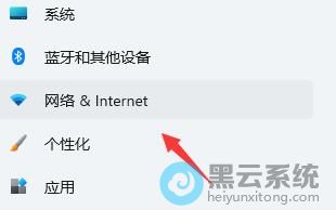 �������&Internet