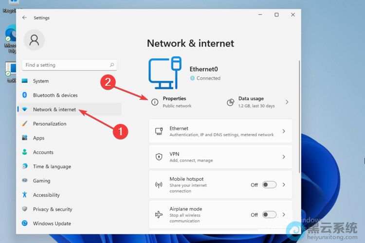 ѡ������
