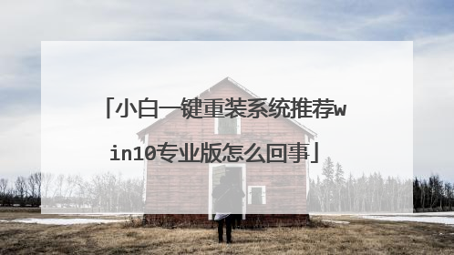 С��һ����װϵͳ�Ƽ�win10רҵ����ô����