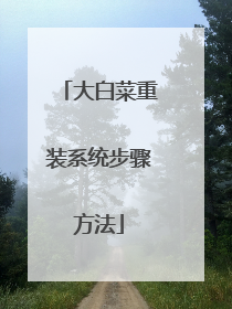 ��ײ���װϵͳ���跽��