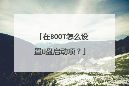 ��BOOT��ô����U�������