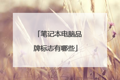 �ʼǱ�����Ʒ�Ʊ�־����Щ