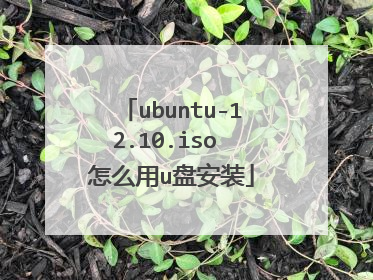 ubuntu-12.10.iso ��ô��u�̰�װ