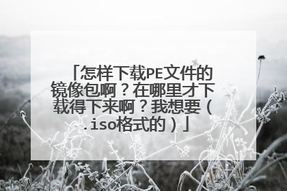 ��������PE�ļ��ľ������������������ص�������������Ҫ��.iso��ʽ�ģ�