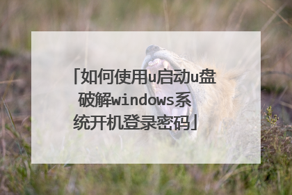 ���ʹ��u����u���ƽ�windowsϵͳ������¼����