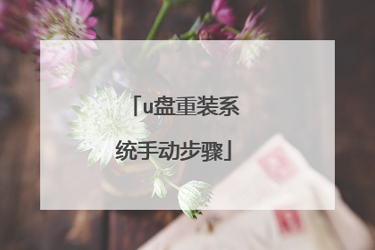 u����װϵͳ�ֶ�����