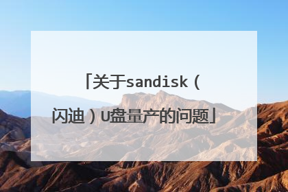 ����sandisk�����ϣ�U������������