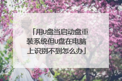 ��U�̵���������װϵͳ��U���ڵ�����ʶ�𲻵���ô��