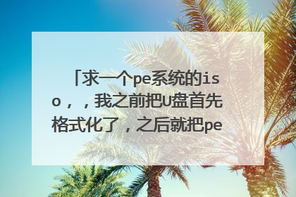 ��һ��peϵͳ��iso������֮ǰ��U�����ȸ�ʽ���ˣ�֮��Ͱ�pe������ƶ���ȥ�ˣ�֮��ϵͳpe����