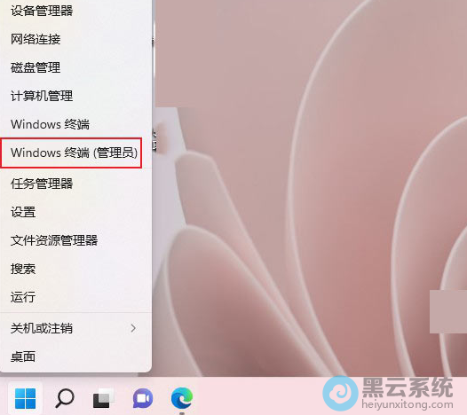 ��Windows�ն�