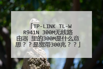 TP-LINK TL-WR941N 300M����·���� ���300M��ʲô��˼�����ǿ���300�ף���