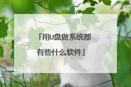 用U盘做系统都有些什么软件