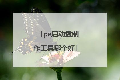 pe���������������ĸ���