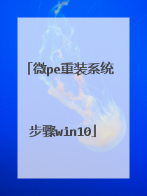 ΢pe��װϵͳ����win10