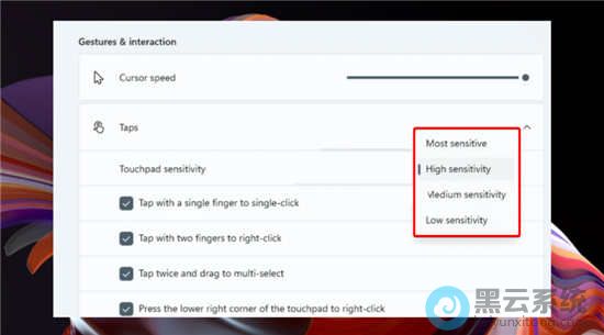 ѡ��Touchpad Sensitivity