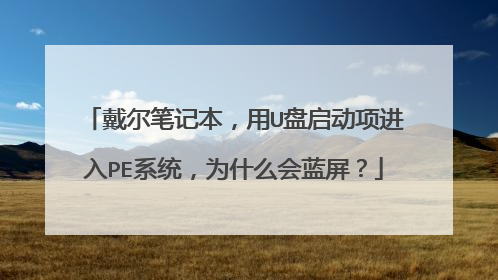 戴尔笔记本,用U盘启动项进入PE系统,为什么会蓝屏?