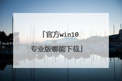 �ٷ�win10רҵ����������