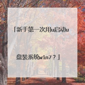 ���ֵ�һ����u����u��װϵͳwin7��