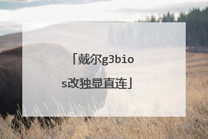 ����g3bios�Ķ���ֱ��