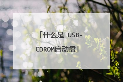 ʲô�� USB-CDROM������