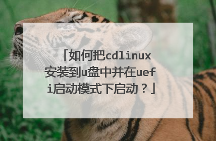 ��ΰ�cdlinux��װ��u���в���uefi����ģʽ��������