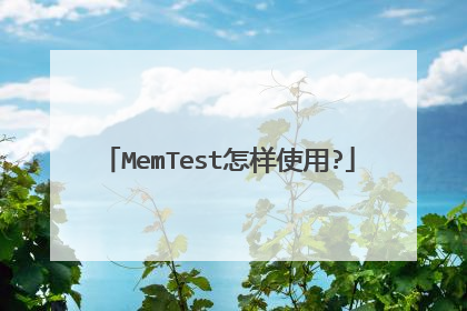 MemTest����ʹ��?
