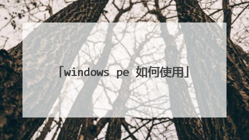 windows pe ���ʹ��