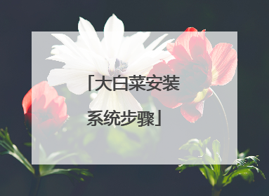 ��ײ˰�װϵͳ����