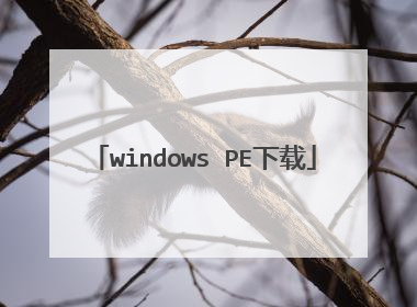 windows PE����