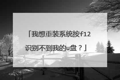 ������װϵͳ��f12ʶ�𲻵��ҵ�u�̣�