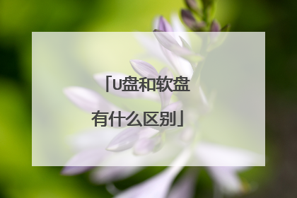 U�̺�������ʲô����