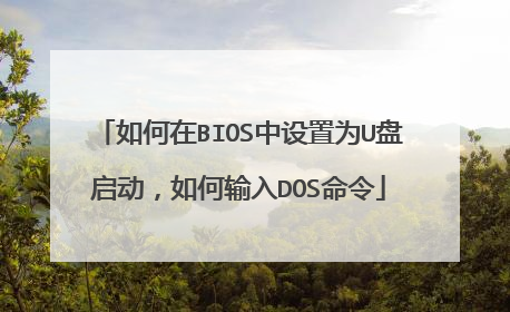 �����BIOS������ΪU���������������DOS����