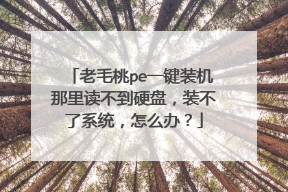 ��ë��peһ��װ�����������Ӳ�̣�װ����ϵͳ����ô�죿