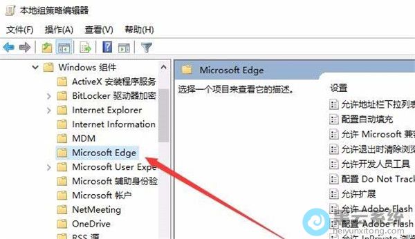 ���Microsoft edge