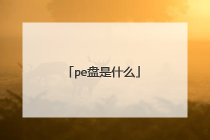 pe����ʲô
