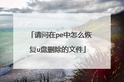 ������pe����ô�ָ�u��ɾ�����ļ�