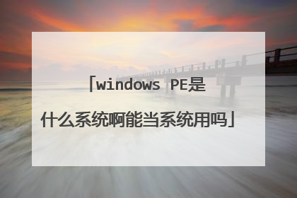 windows PE��ʲôϵͳ���ܵ�ϵͳ����