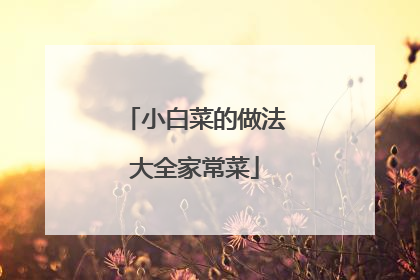 С�ײ˵�������ȫ�ҳ���