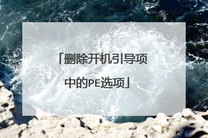 ɾ�������������е�PEѡ��