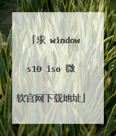 �� windows10 iso ΢���������ص�ַ