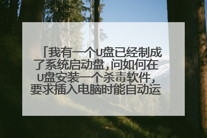 ����һ��U���Ѿ��Ƴ���ϵͳ������,�������U�̰�װһ��ɱ������,Ҫ��������ʱ���Զ�����ɱ�� лл