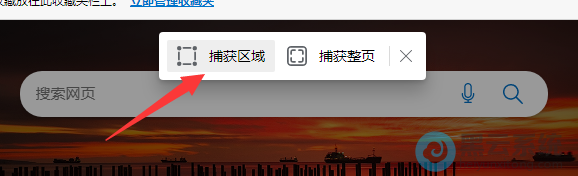 ѡ�񲶻�����