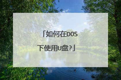 �����DOS��ʹ��U��?